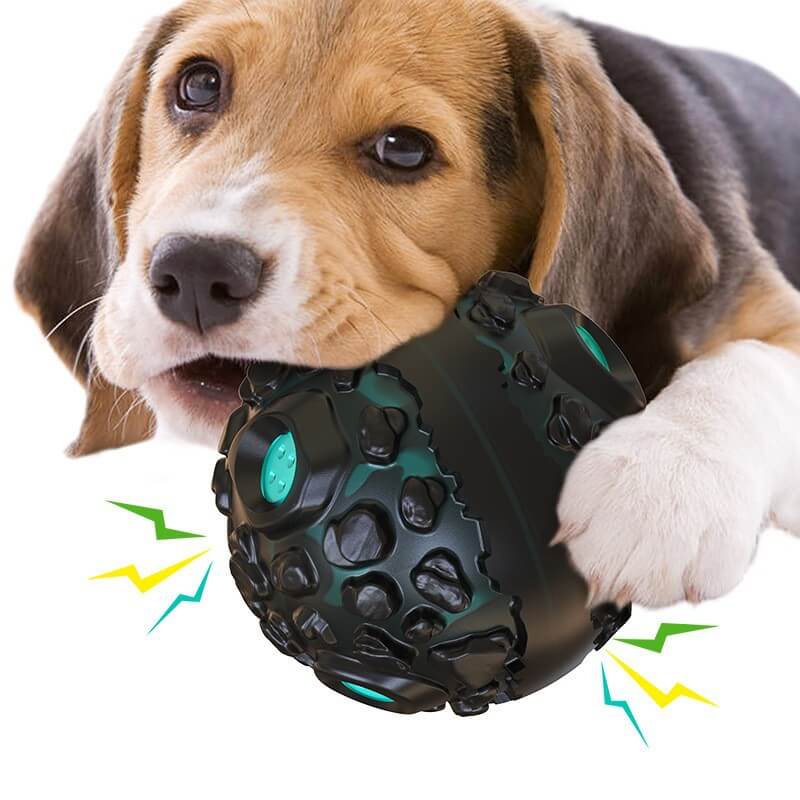 כדור משחק לכלב עם צלילים