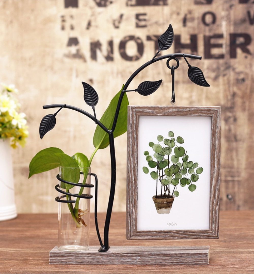 עציץ מובנה במסגרת לתמונה בעיצוב יחודי