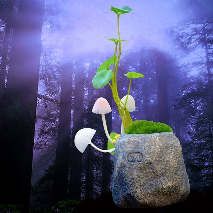 733e45487196bb05d9bdb53148a0eada