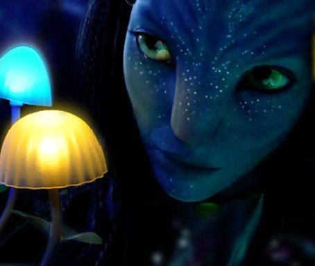 d7ed7a69f058423de61c3dc60d5be6df