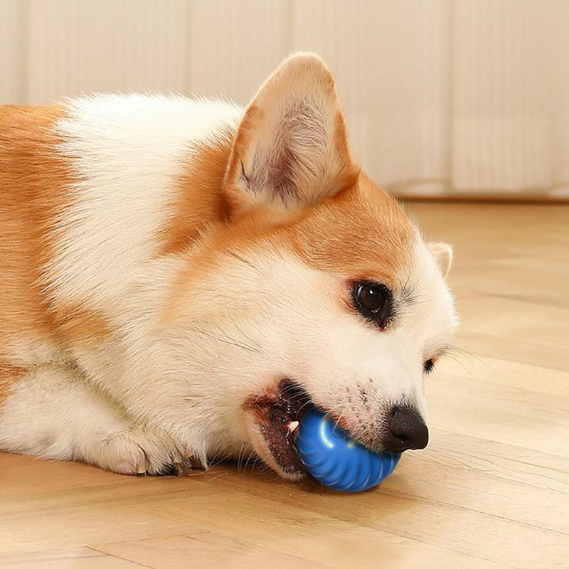 yLAmAutomatic-Moving-Dog-Toy-Ball-Smart-USB-Jumping-Rotating-Interactive-Dog-Chew-Toy-Ball-for-Puppy.jpg